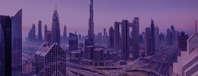 DRUID AI partners with Evolvant to deploy automation solutions in UAE