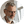 joe