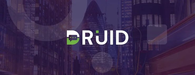 druid everest conversational ai report