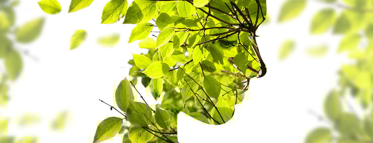 DRUID introduces Oxygen to revolutionize the conversational automation space