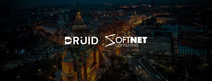 DRUID Soft Net Consulting Partnership Conversational AI